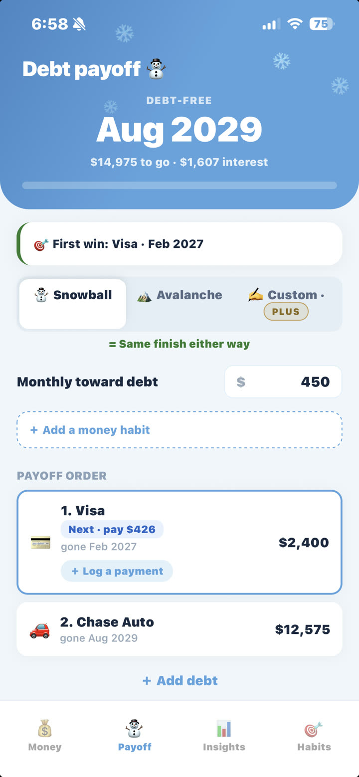 Snowballer payoff plan: debt-free Aug 2029, first win Visa Feb 2027, next payment $426